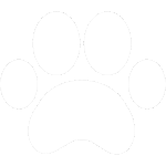 Pet Friendly - white